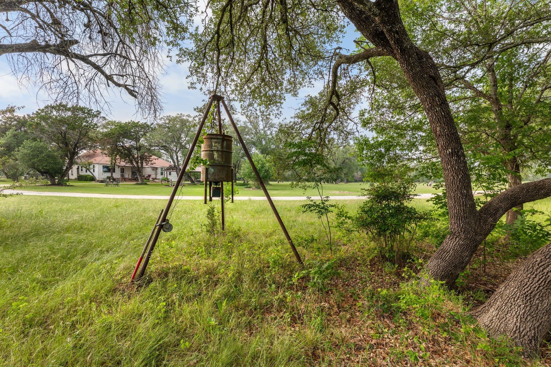 53.52 acres in McLennan County featured view