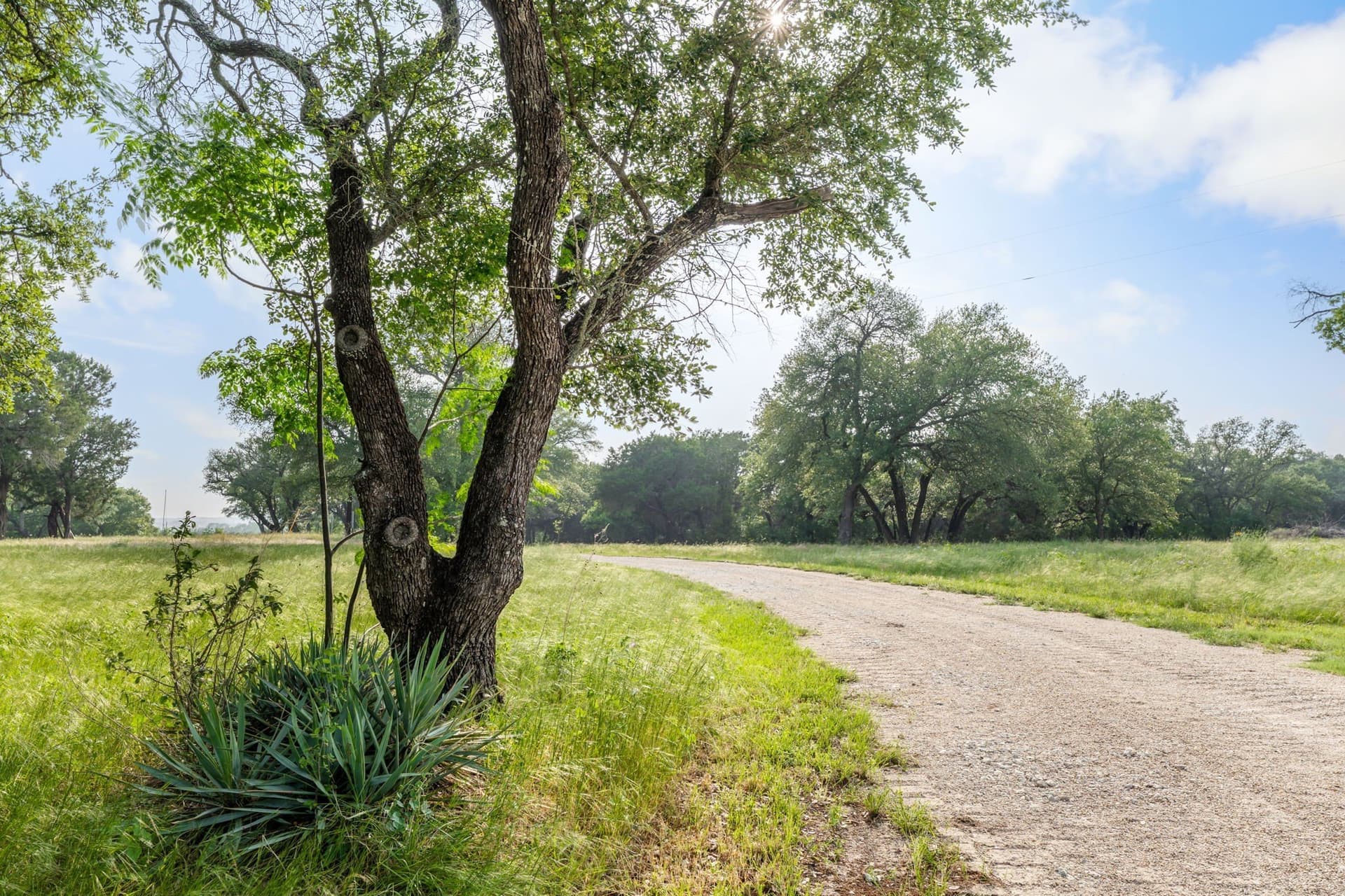 53.52 acres in McLennan County - photo 35