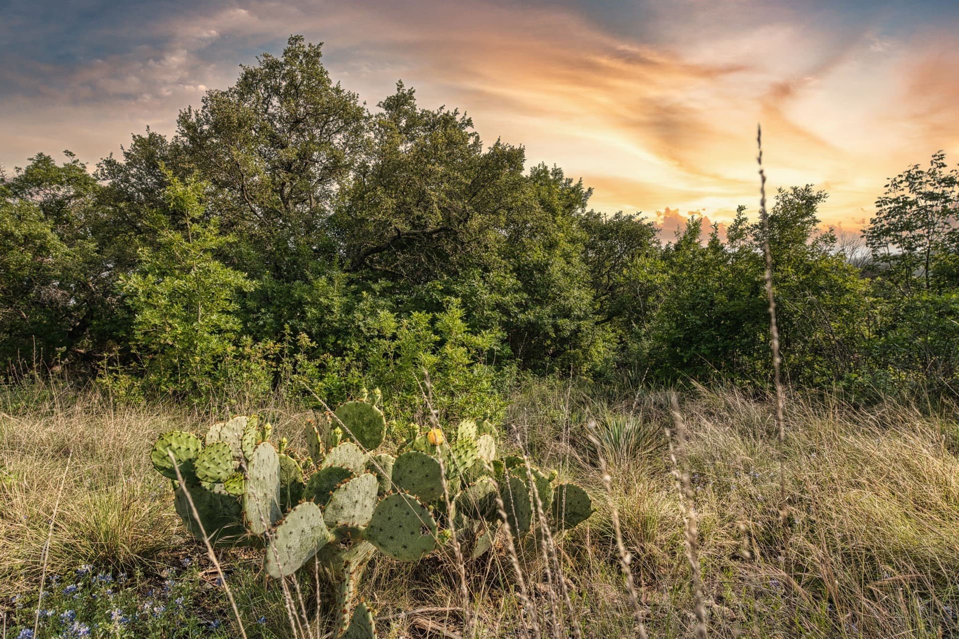 53.52 acres in McLennan County - photo 36