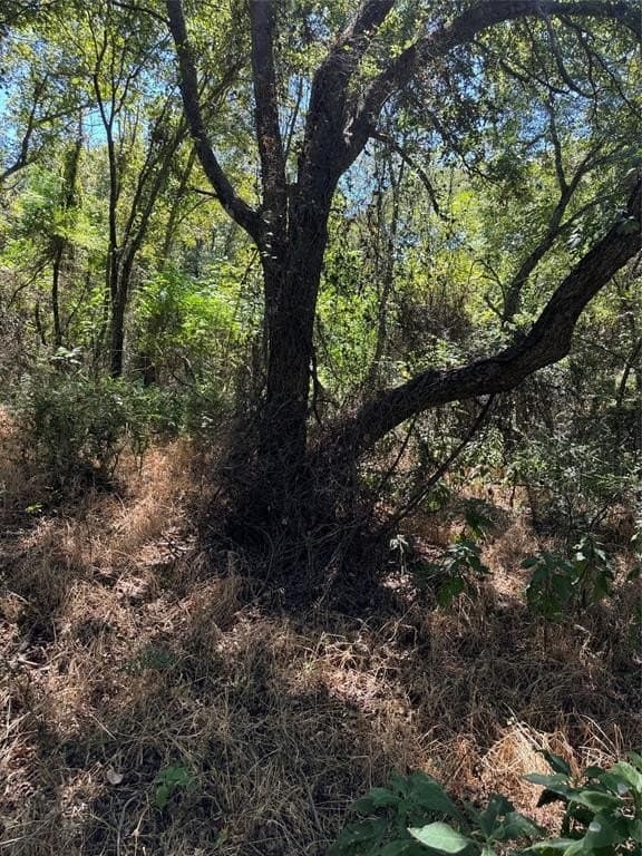 0.43 acres in Hill County featured view