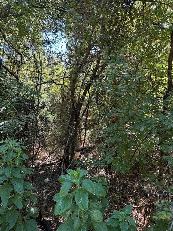 0.43 acres in Hill County gallery image 2