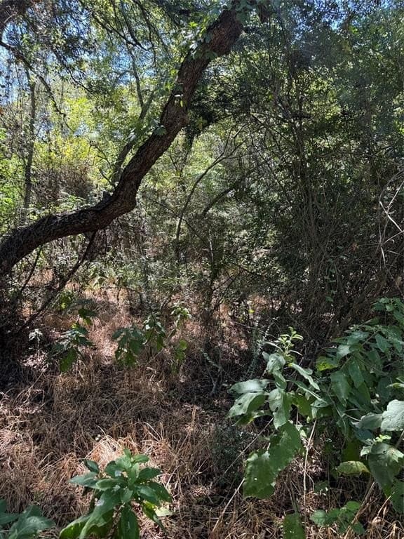 0.43 acres in Hill County gallery image 3