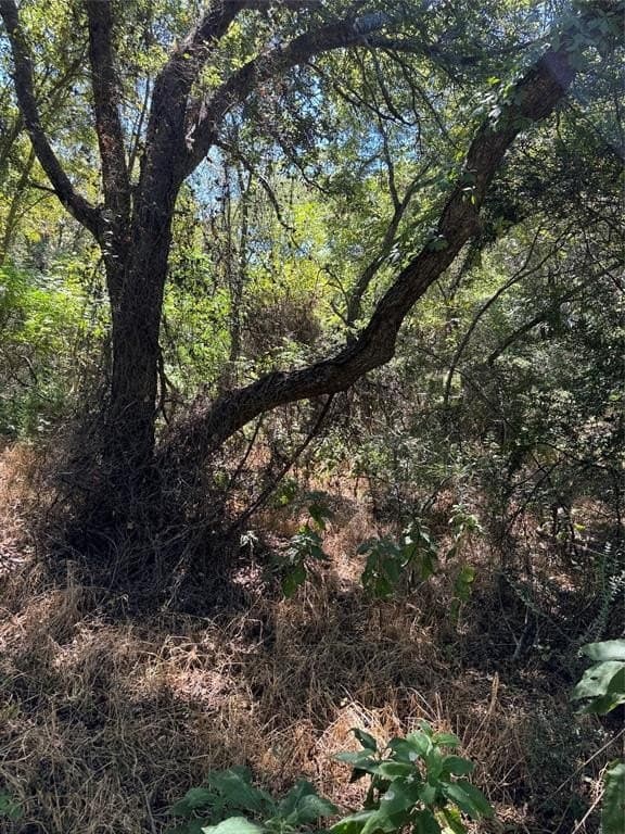 0.43 acres in Hill County gallery image 4