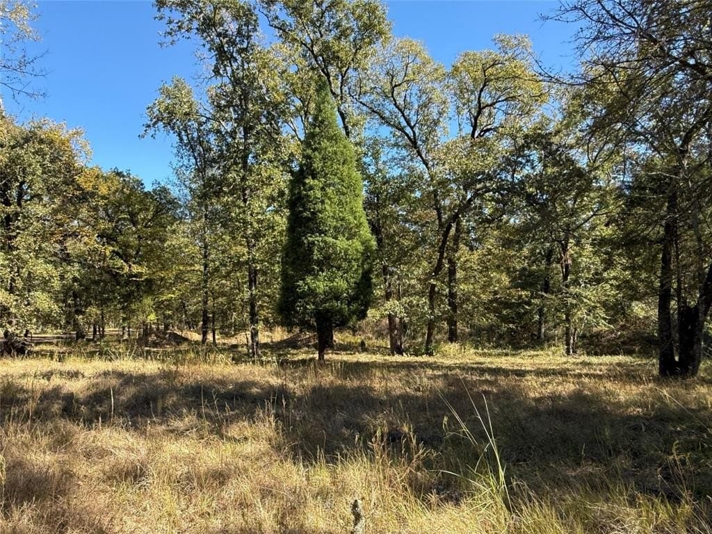 10.7 acres in Henderson County gallery image 2