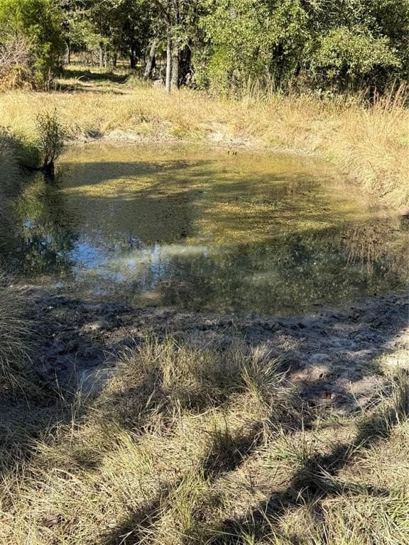 10.7 acres in Henderson County gallery image 4