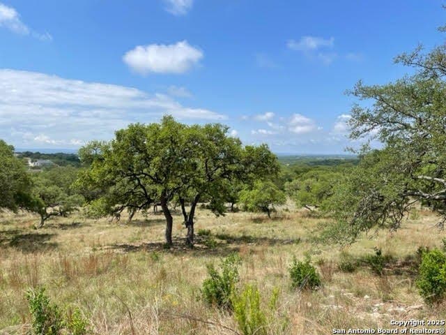 1.42 acres in Comal County - photo 2
