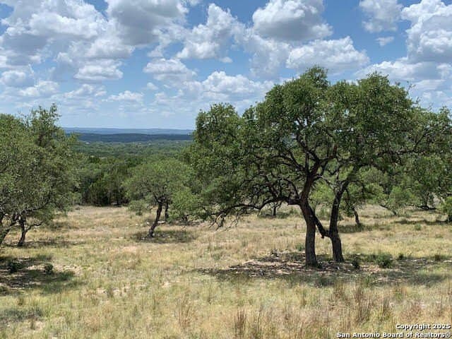 1.42 acres in Comal County - photo 9