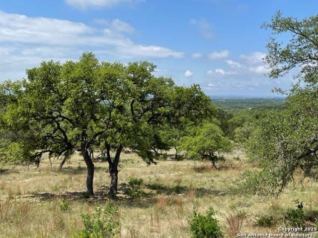 1.42 acres in Comal County - photo 6
