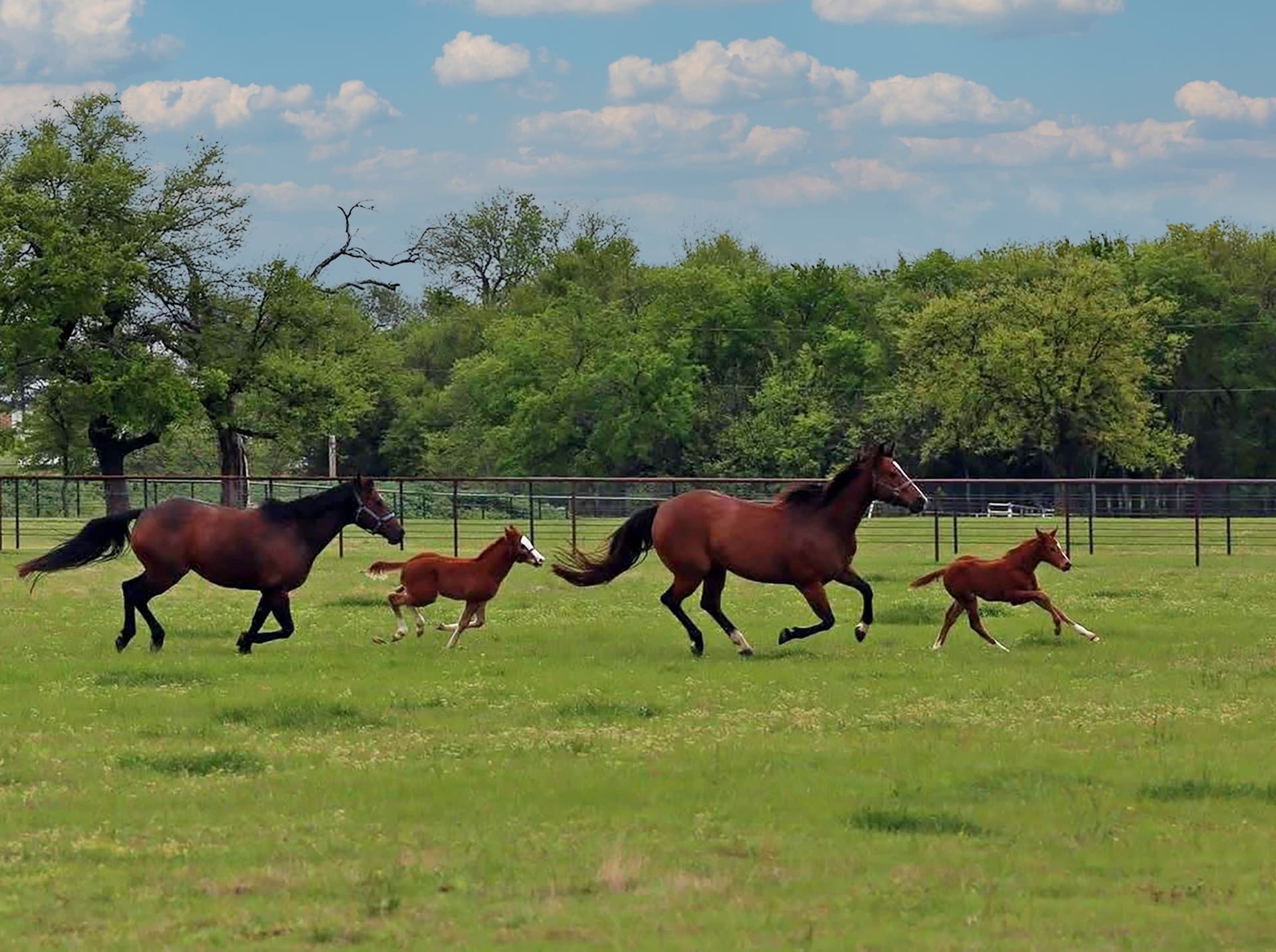25.93 acres in Denton County - photo 6