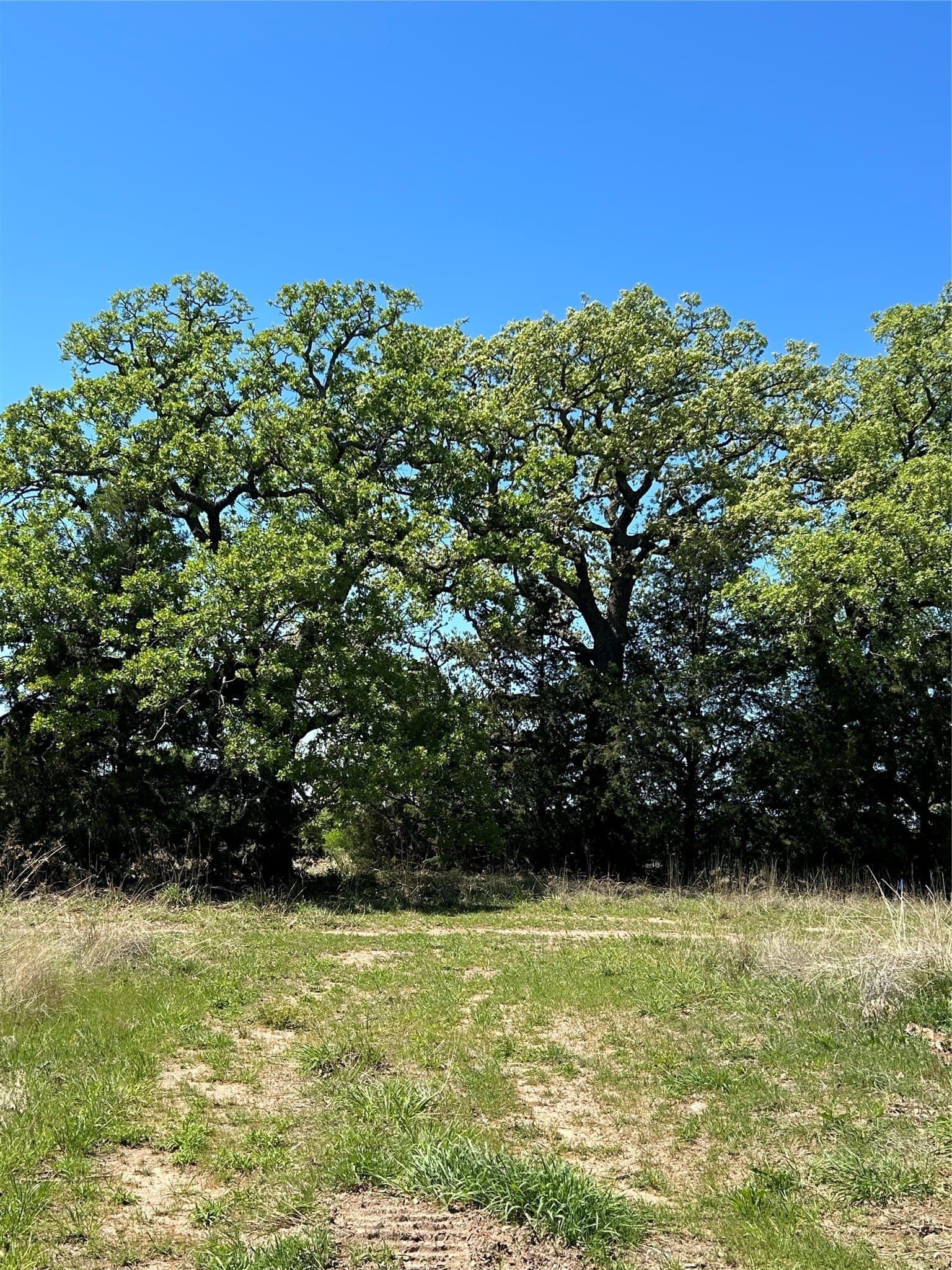 2.2 acres in Montague County - photo 3