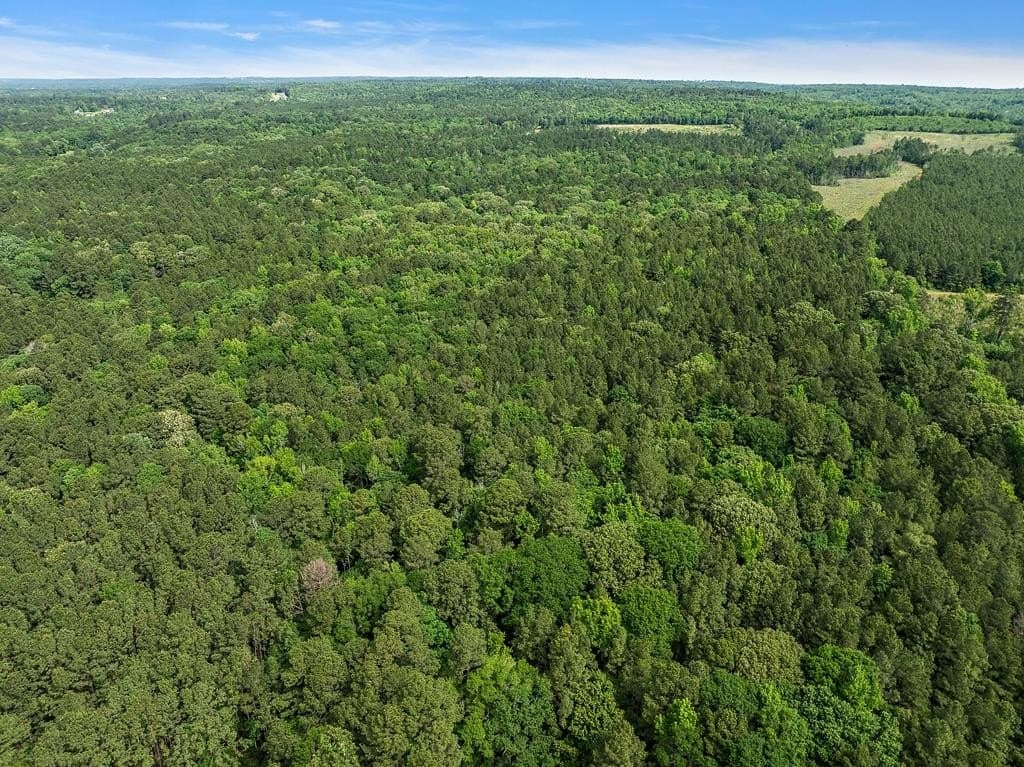 147.23 acres in Texas County featured view