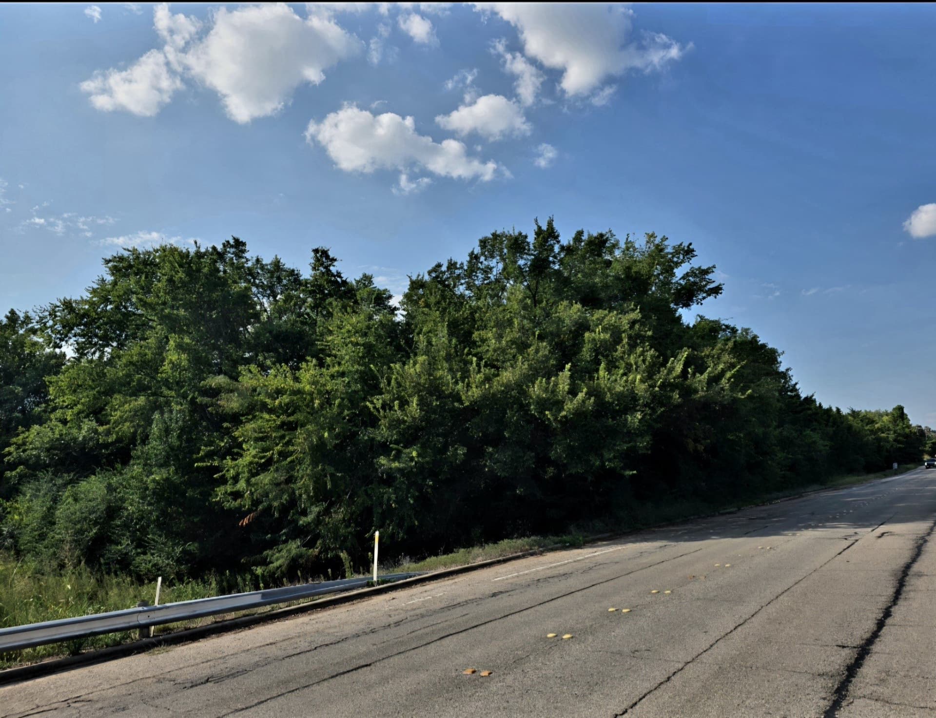 11.2 acres in Lamar County gallery image 4