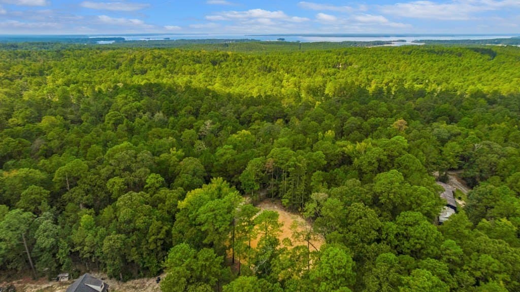 0.6 acres in Texas County - photo 11