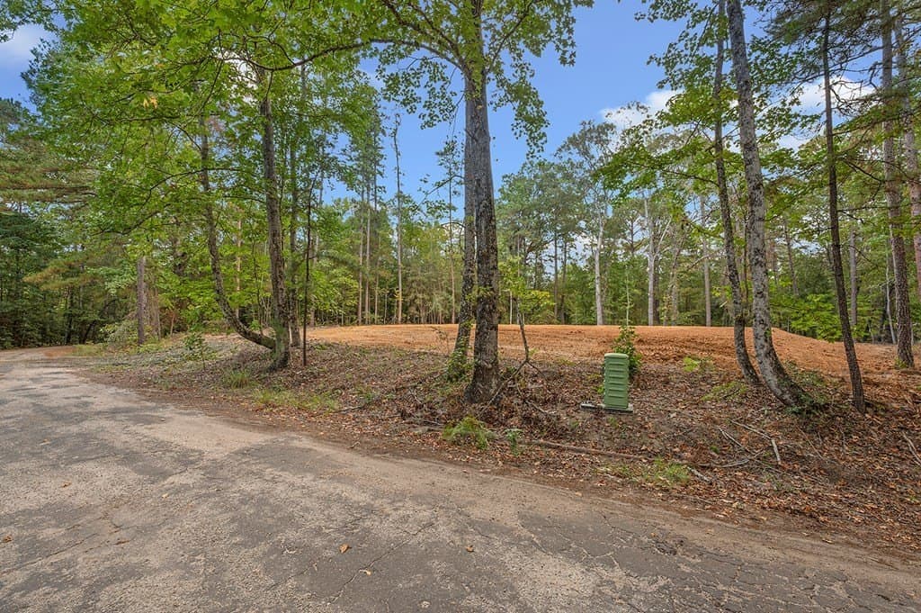 0.6 acres in Texas County - photo 6
