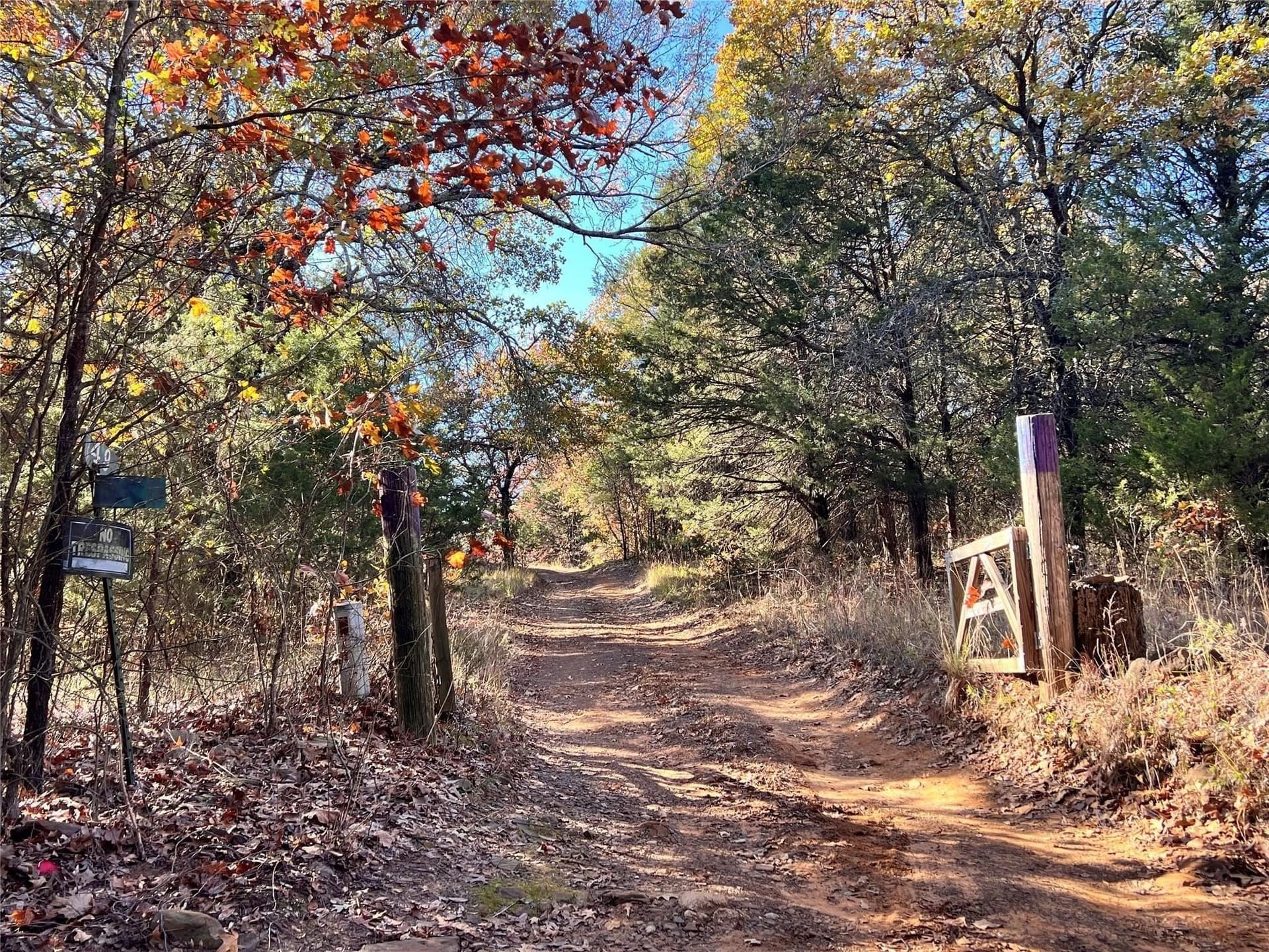 6.13 acres in Grayson County gallery image 4