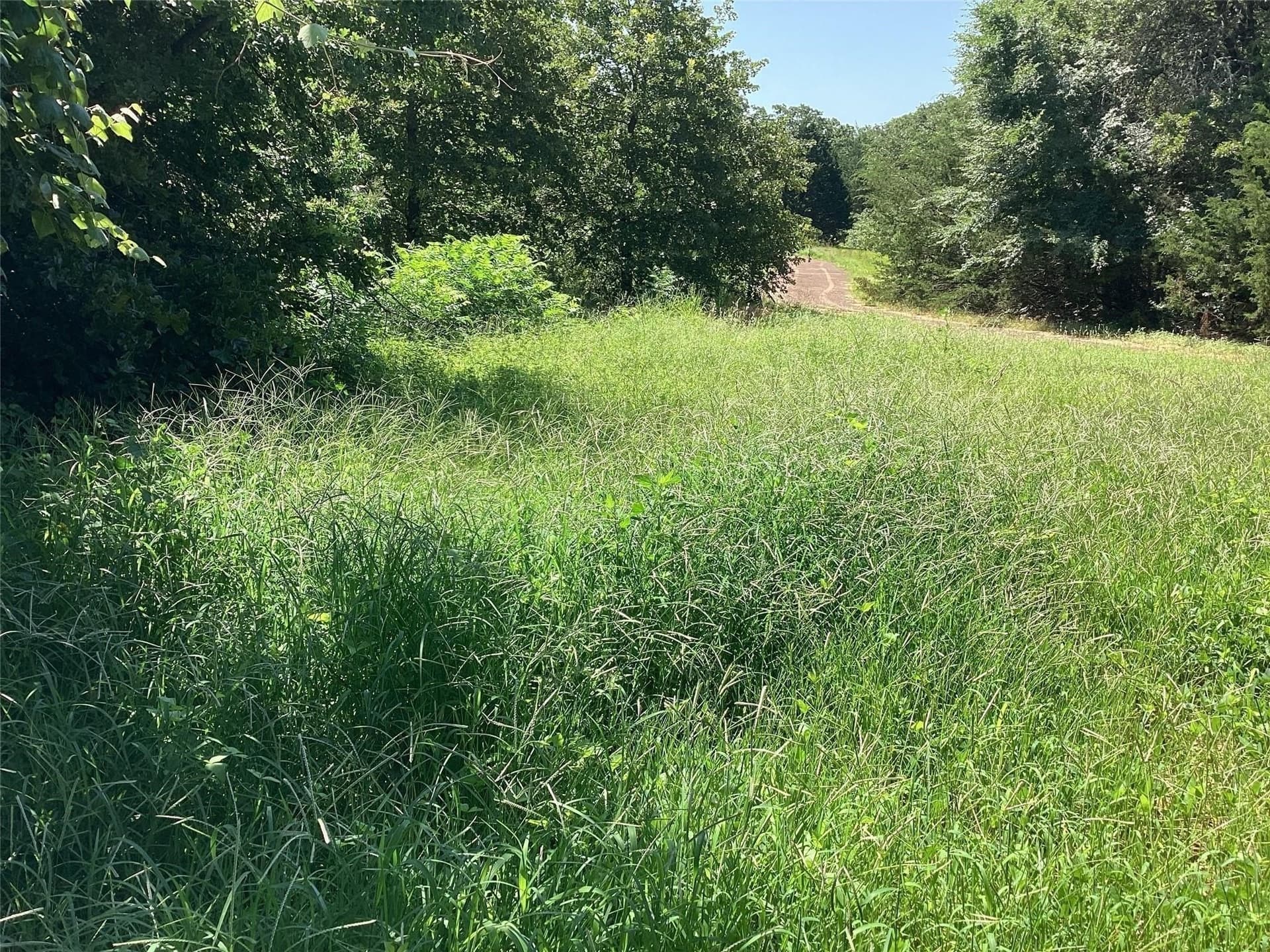 6.13 acres in Grayson County gallery image 2