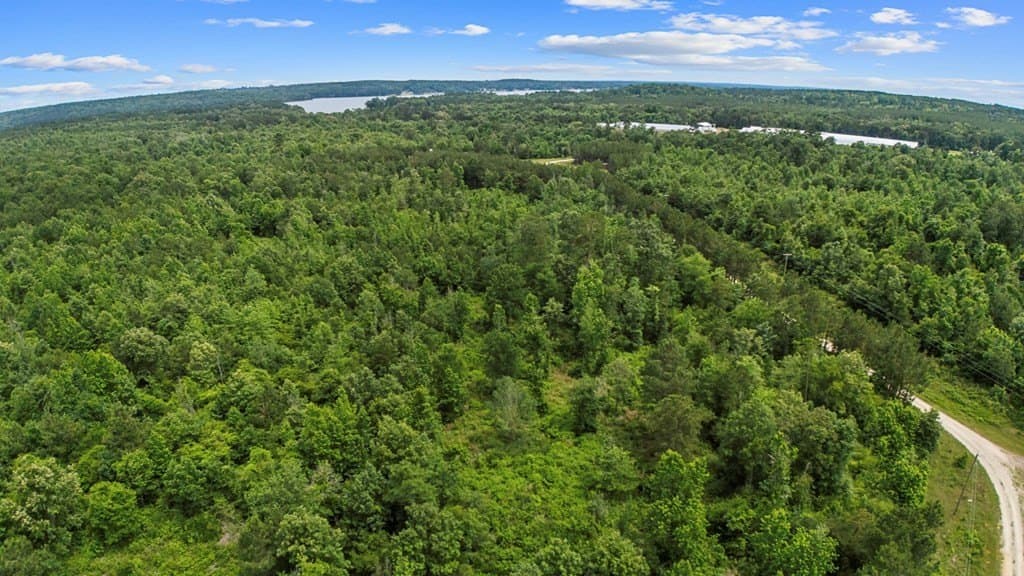 10.1 acres in Texas County gallery image 3