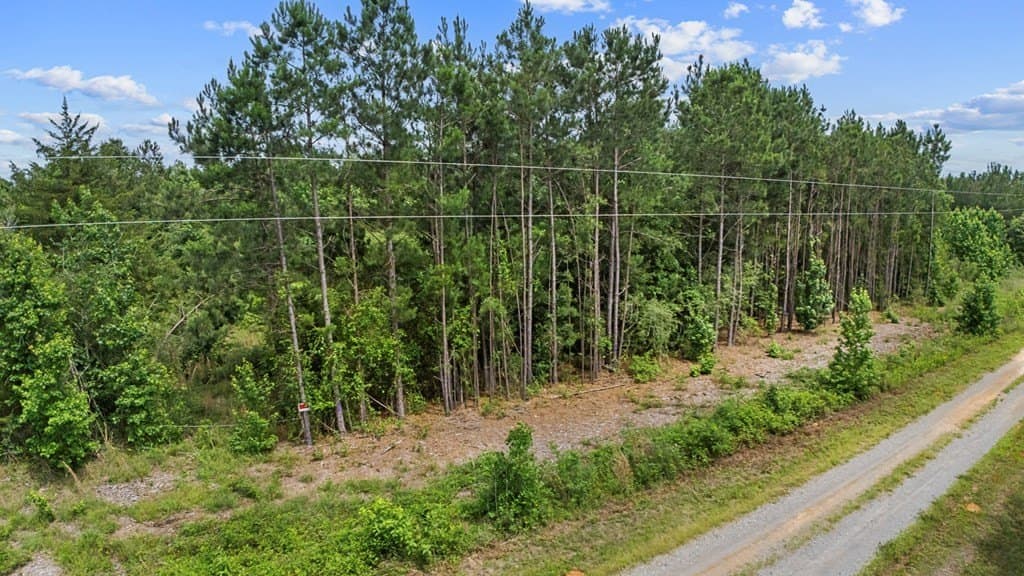 10.1 acres in Texas County - photo 6