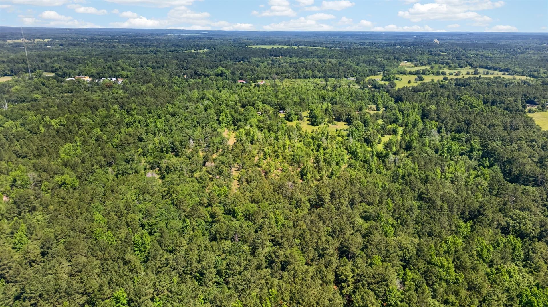 50 acres in Anderson County - photo 11