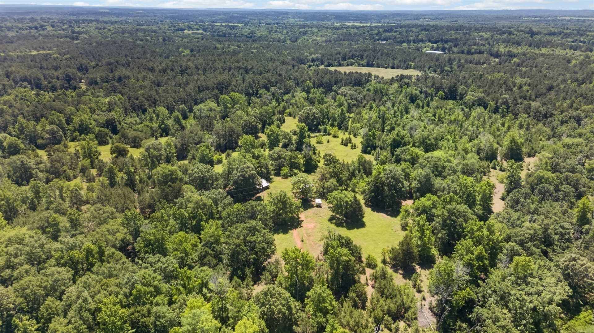 50 acres in Anderson County - photo 4