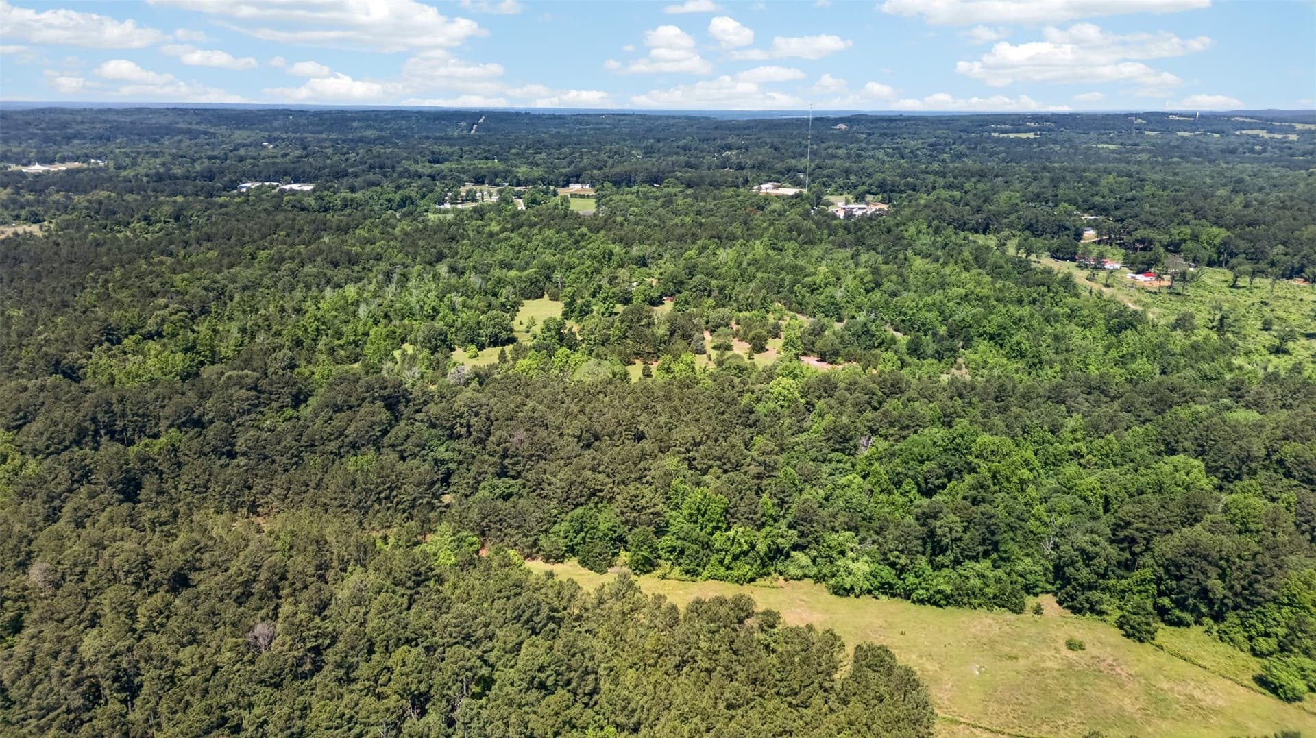 50 acres in Anderson County - photo 13