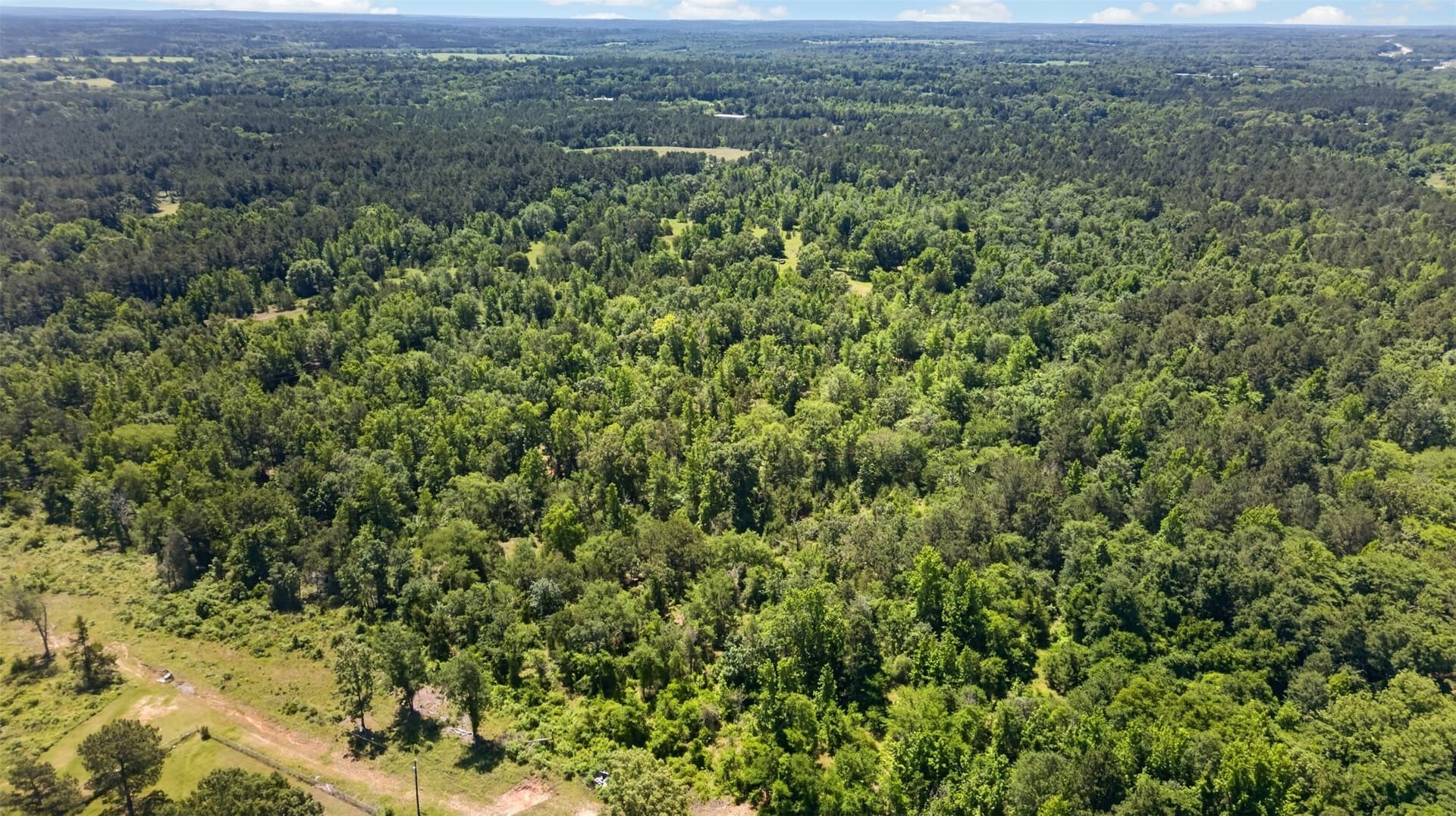 50 acres in Anderson County - photo 5