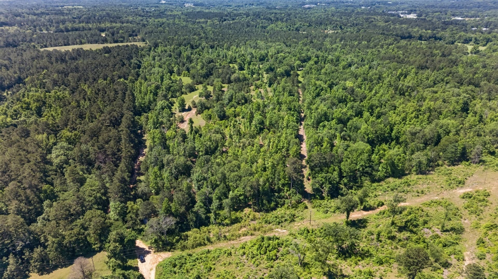 50 acres in Anderson County - photo 15