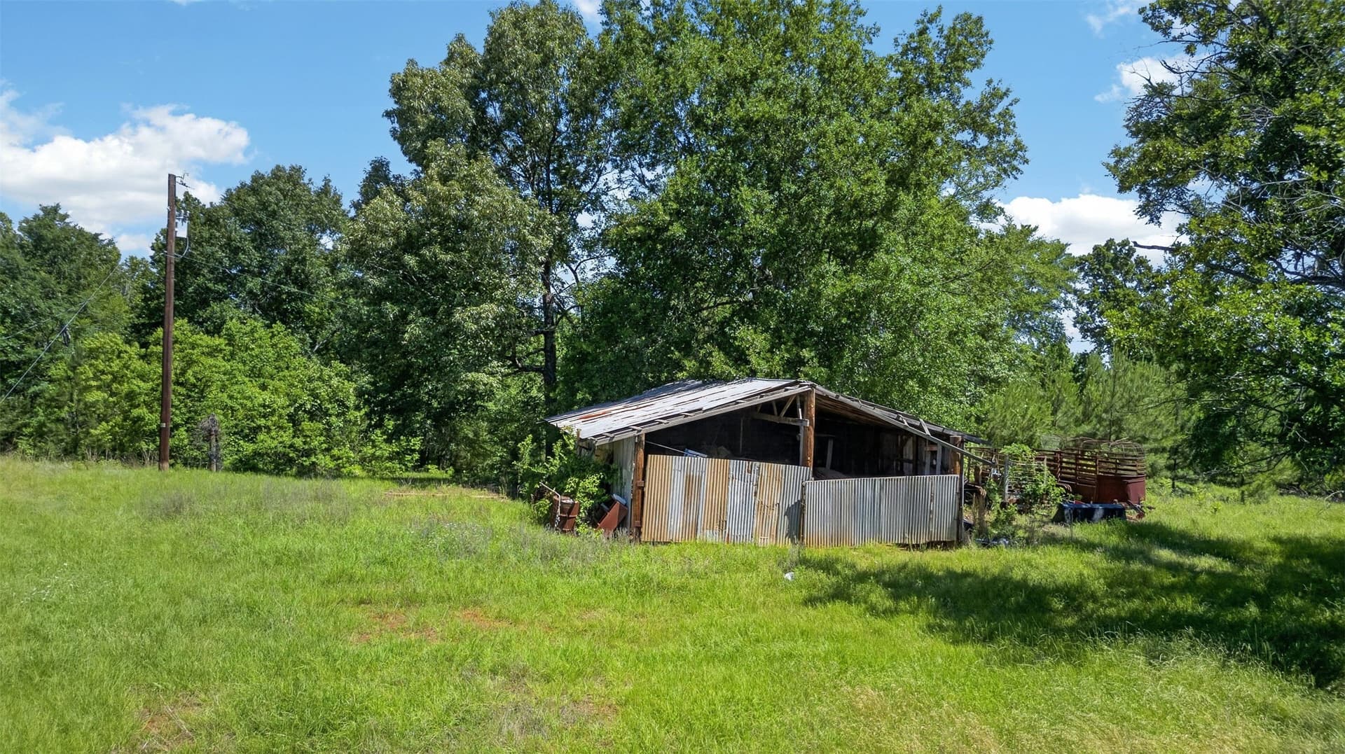 50 acres in Anderson County - photo 17