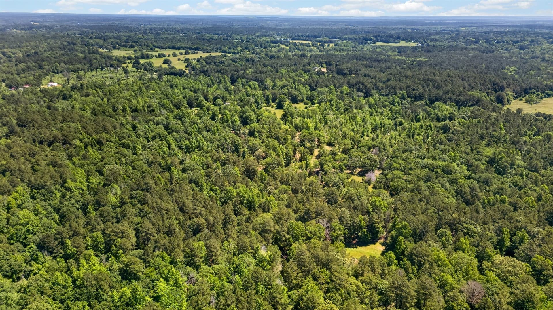 50 acres in Anderson County - photo 9
