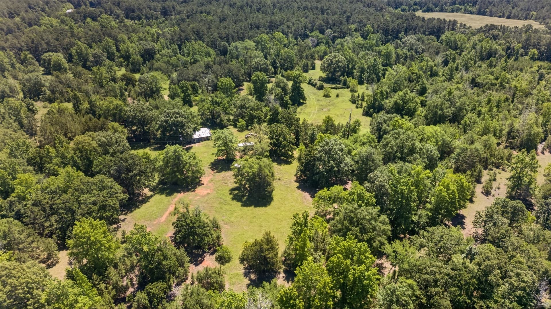 50 acres in Anderson County - photo 3
