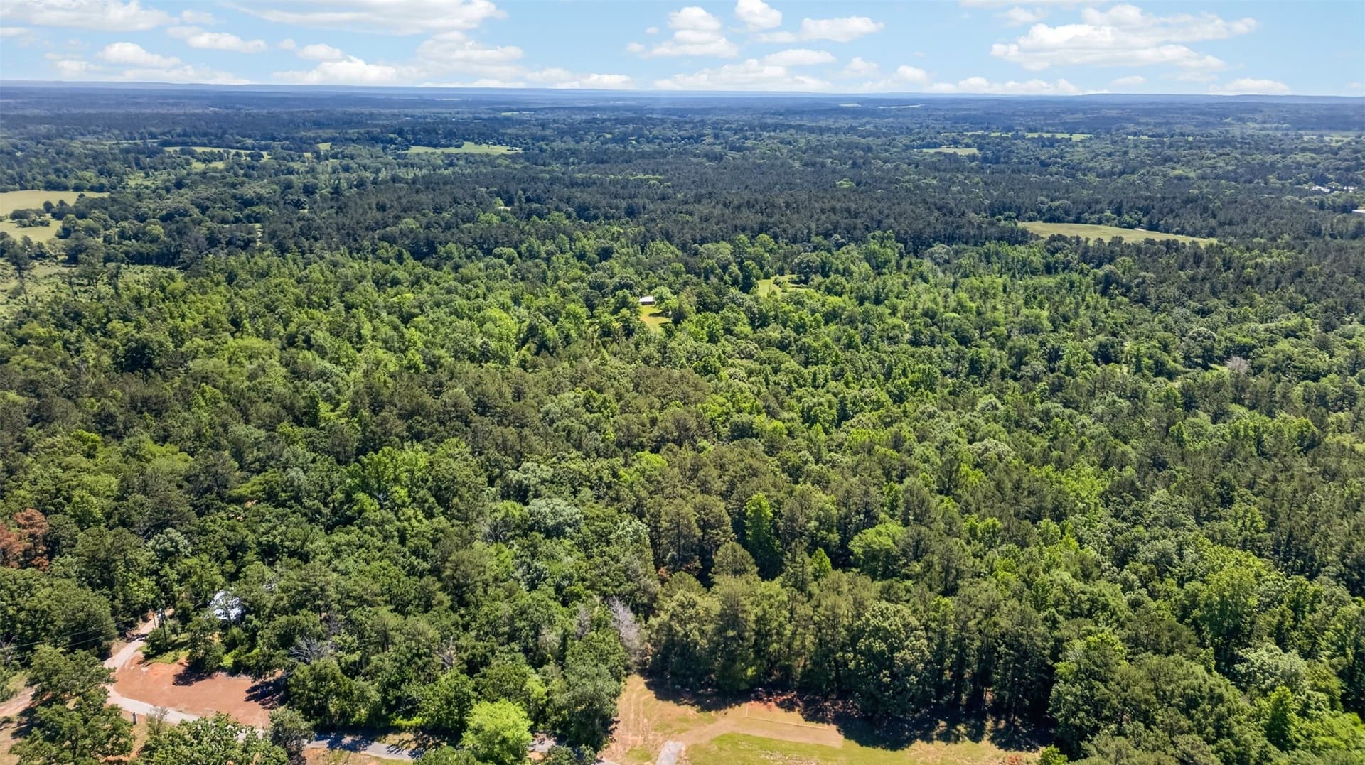 50 acres in Anderson County - photo 6