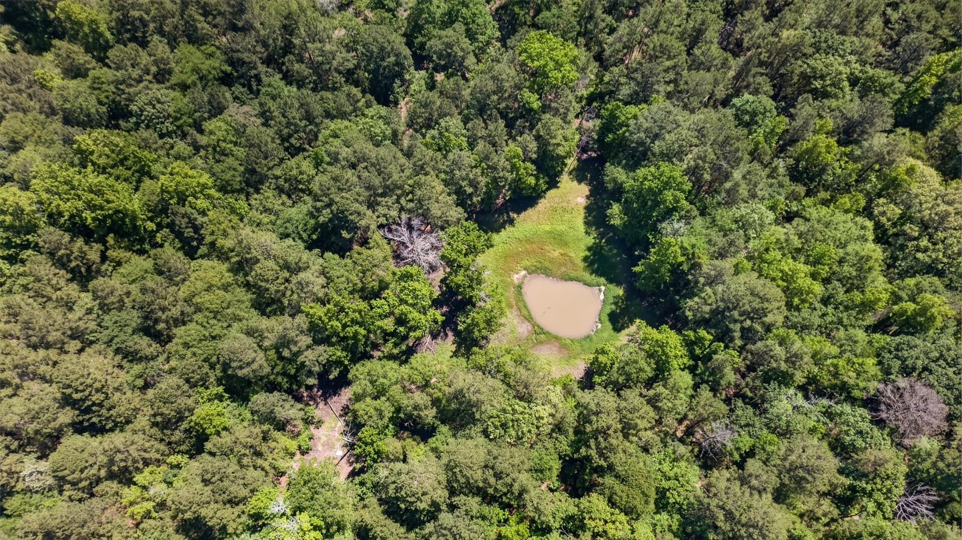 50 acres in Anderson County