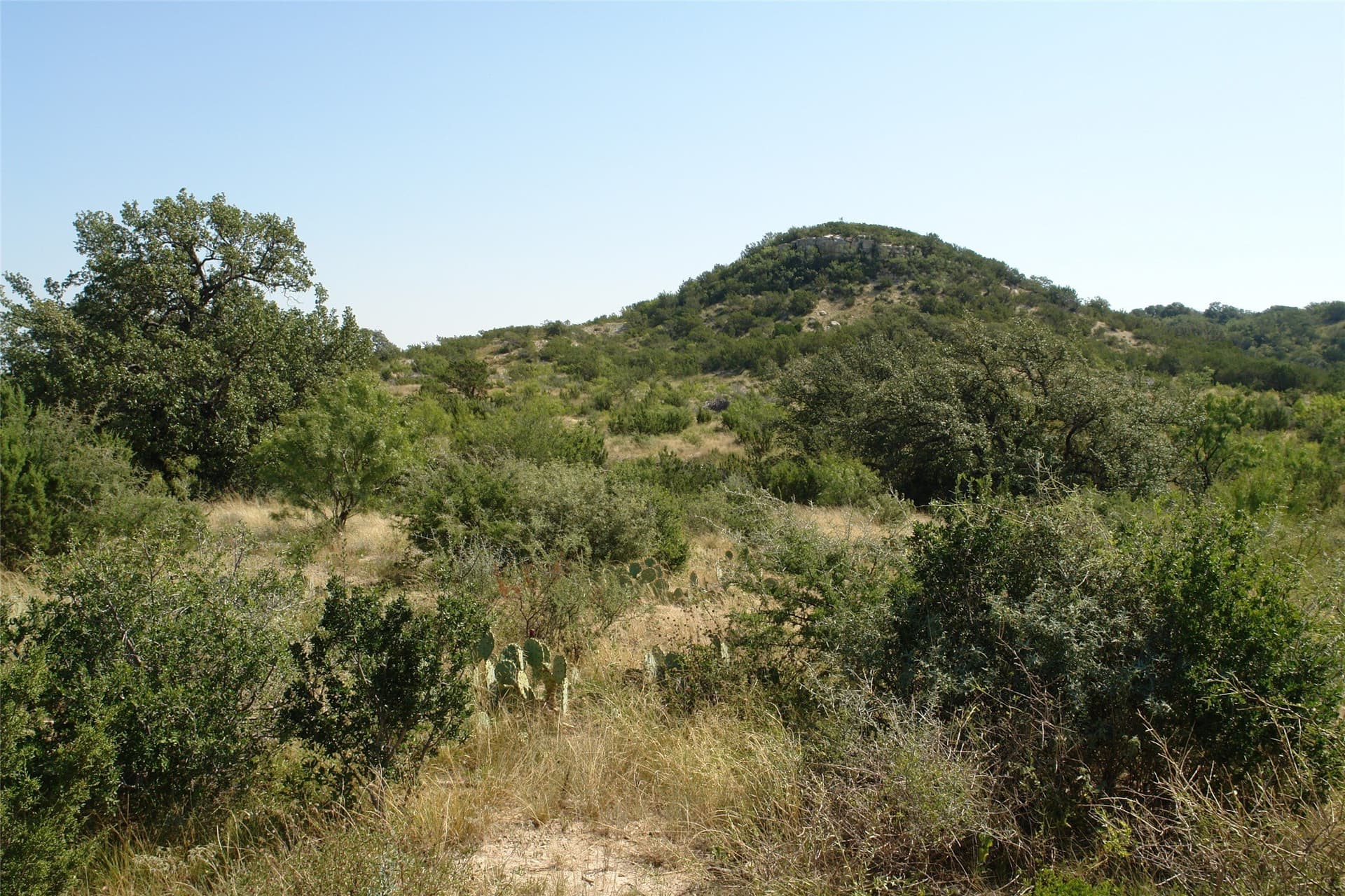 110 acres in McCulloch County - photo 17