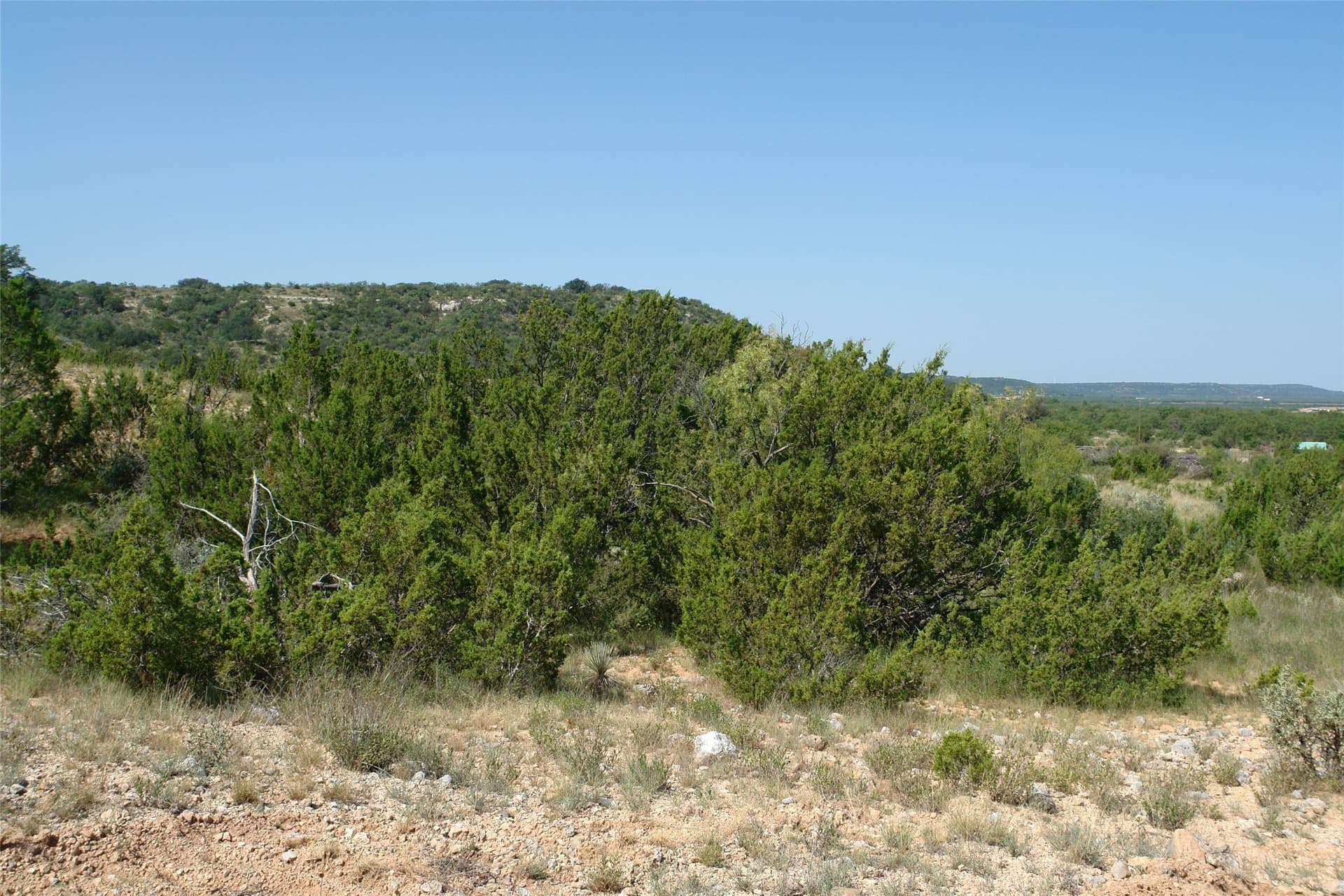 110 acres in McCulloch County - photo 10