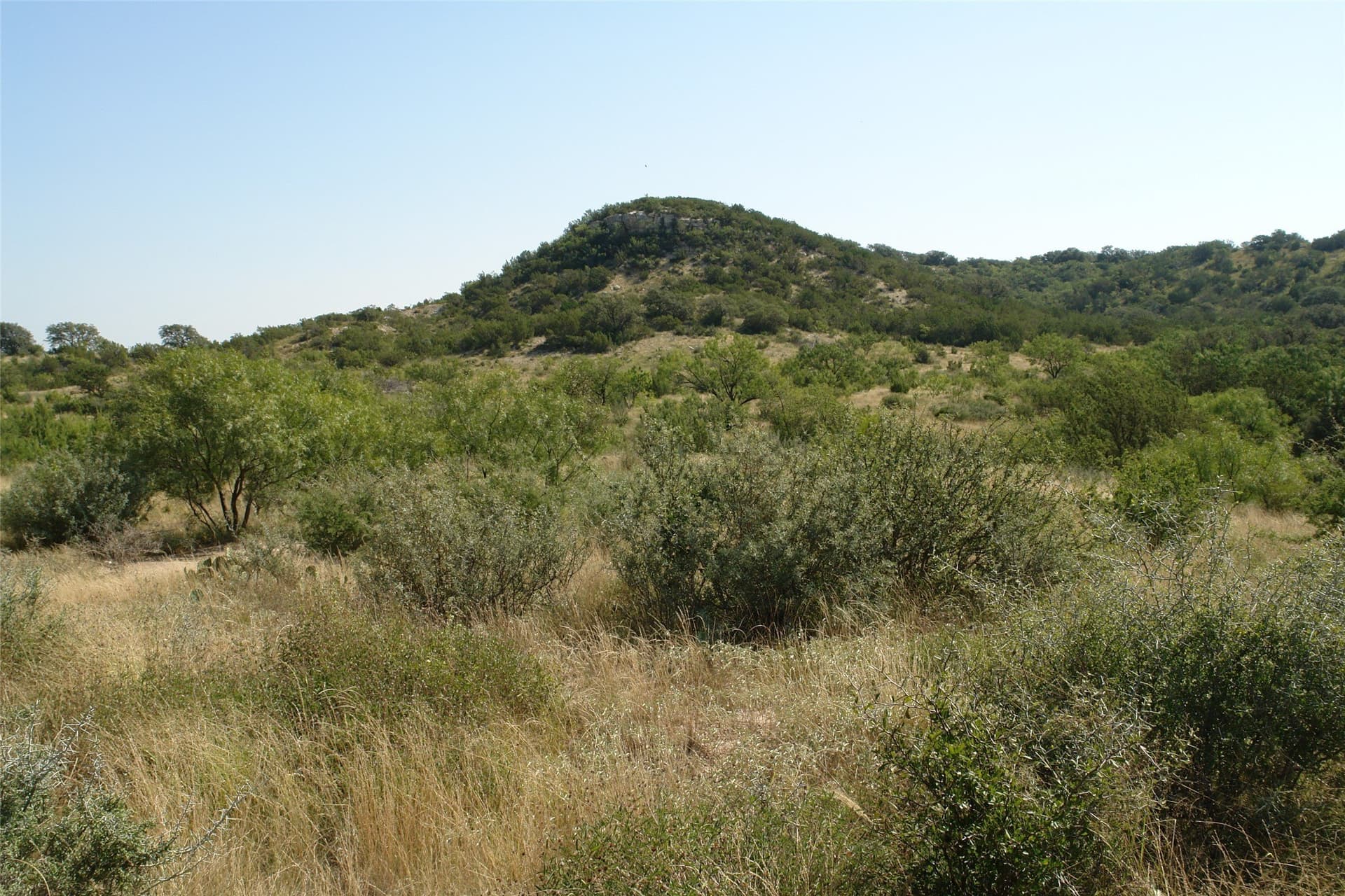 110 acres in McCulloch County - photo 8