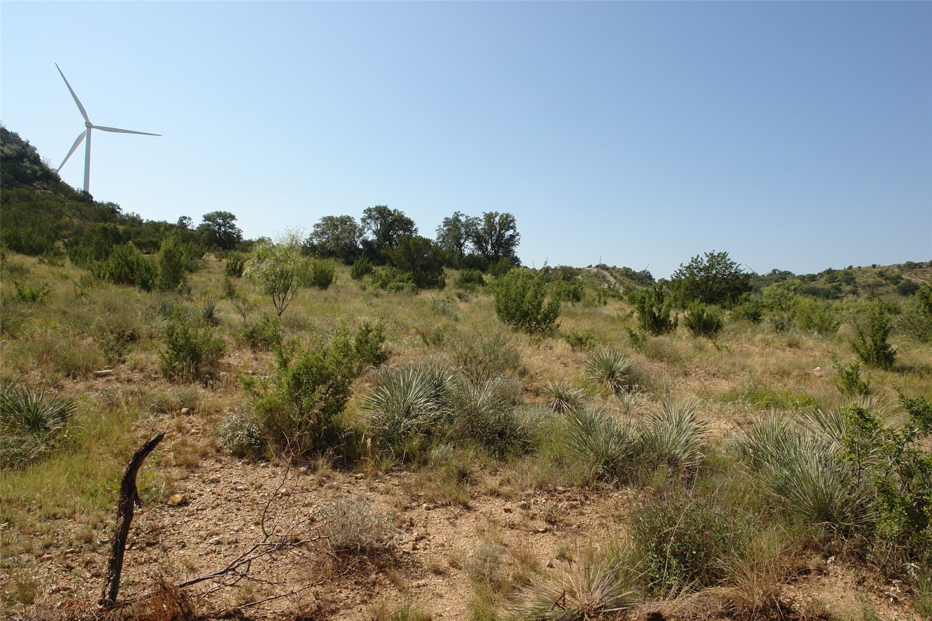 110 acres in McCulloch County - photo 9