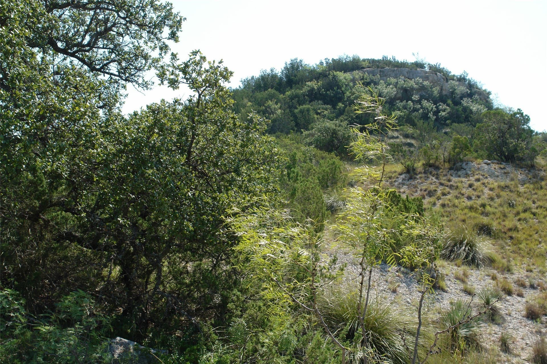 110 acres in McCulloch County - photo 15