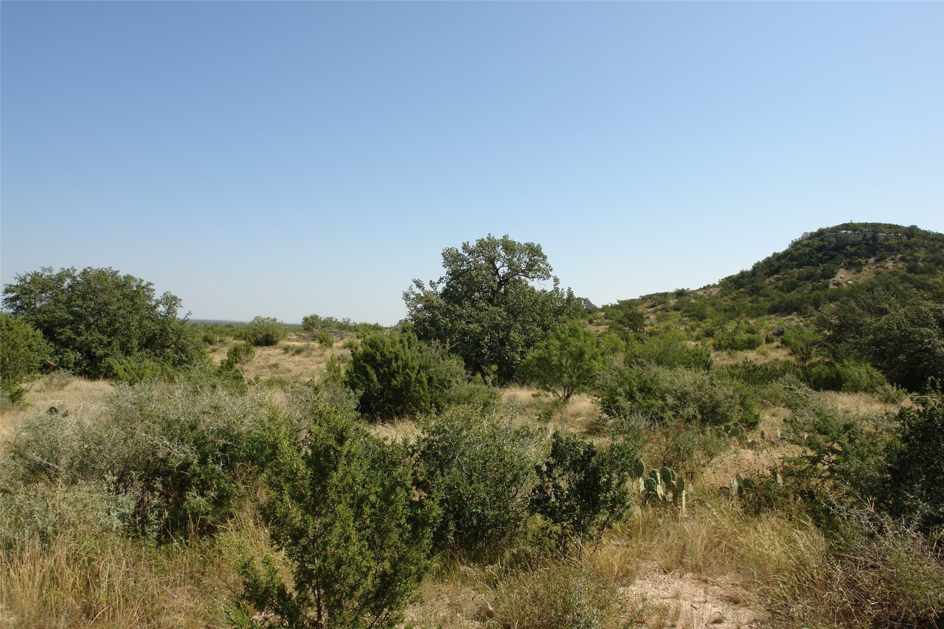 110 acres in McCulloch County - photo 18