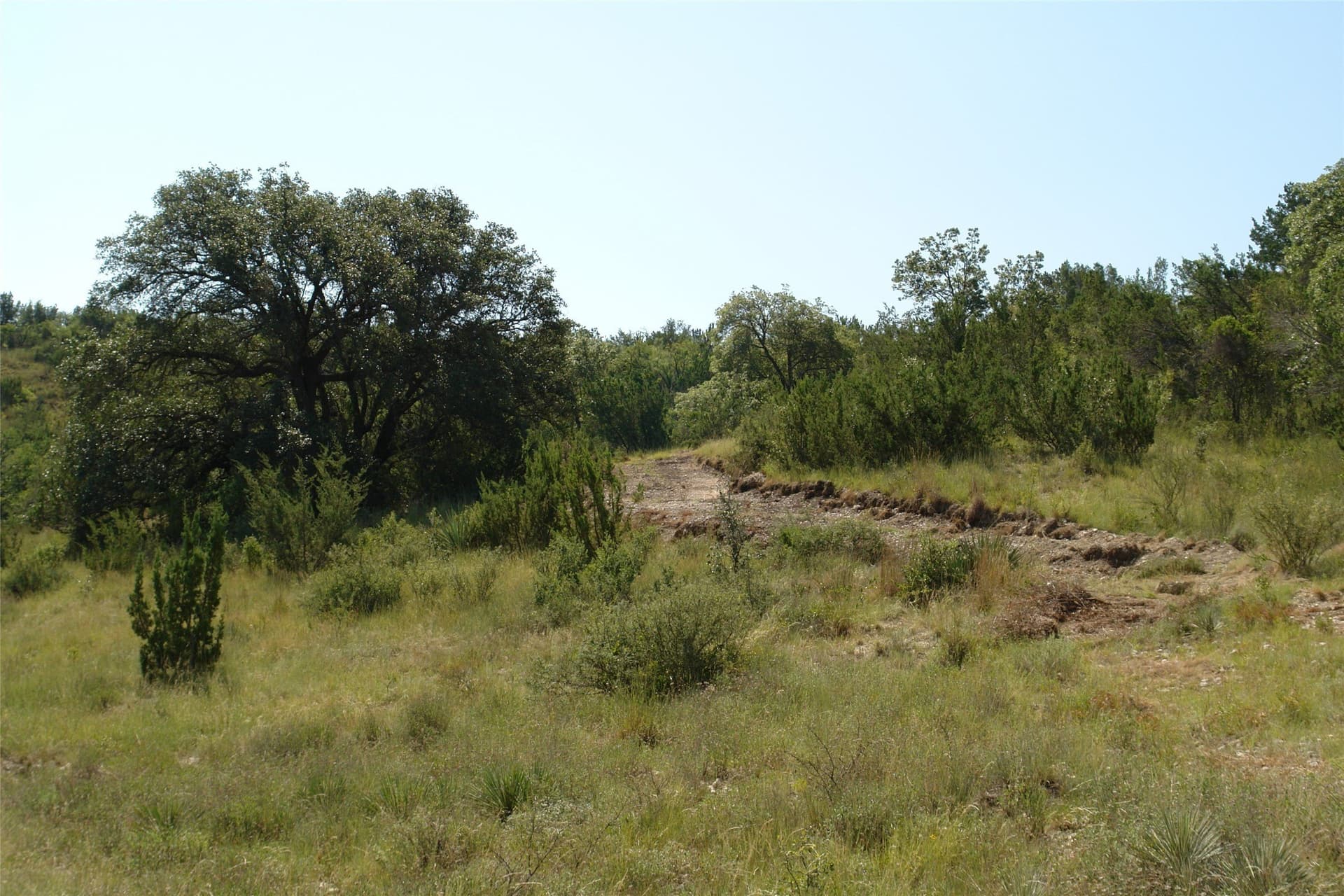 110 acres in McCulloch County - photo 22