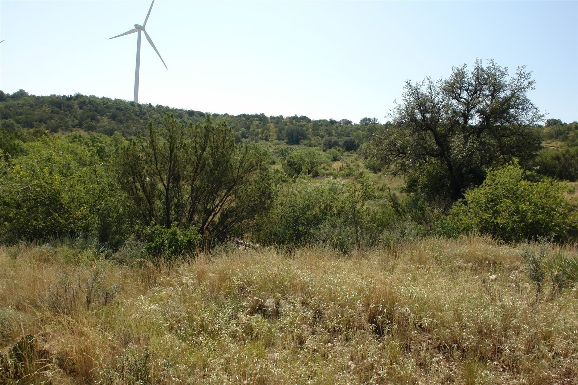 110 acres in McCulloch County - photo 20