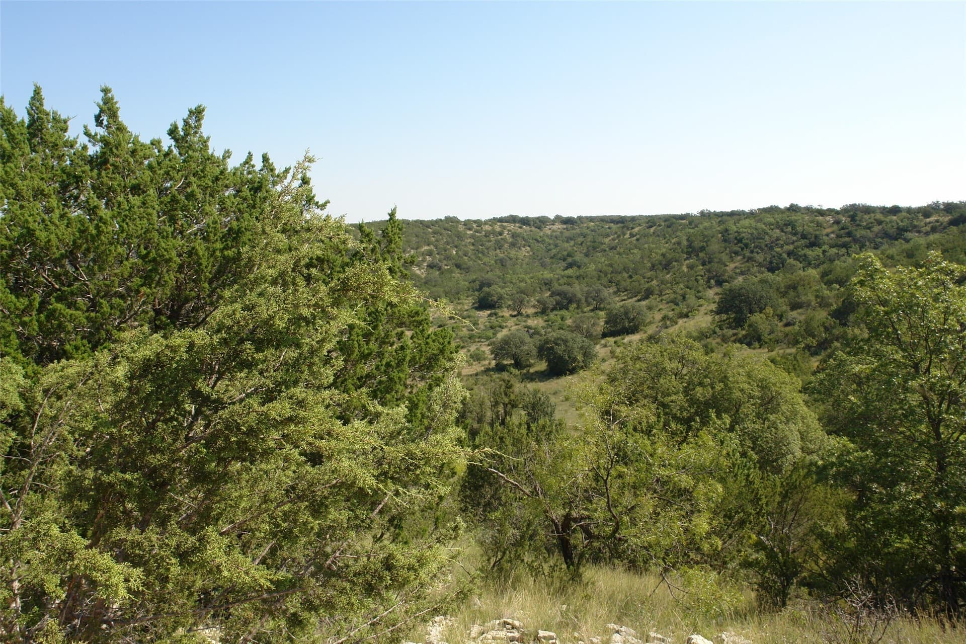 110 acres in McCulloch County - photo 5