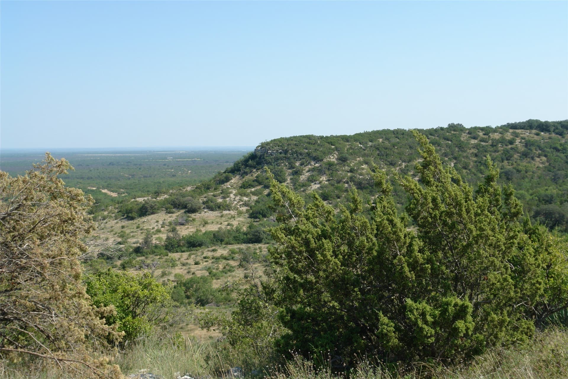 110 acres in McCulloch County - photo 4