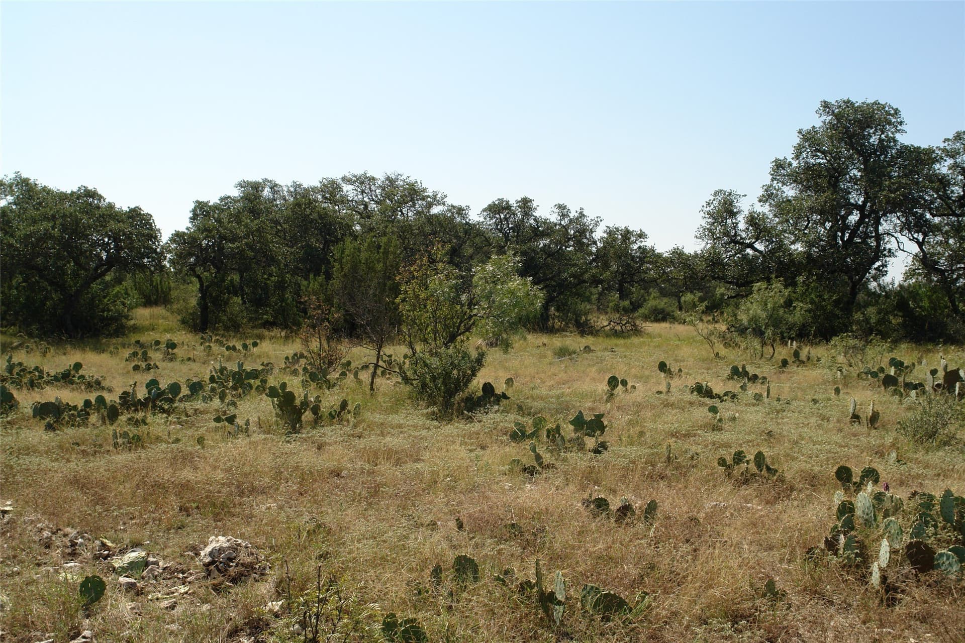 110 acres in McCulloch County - photo 23