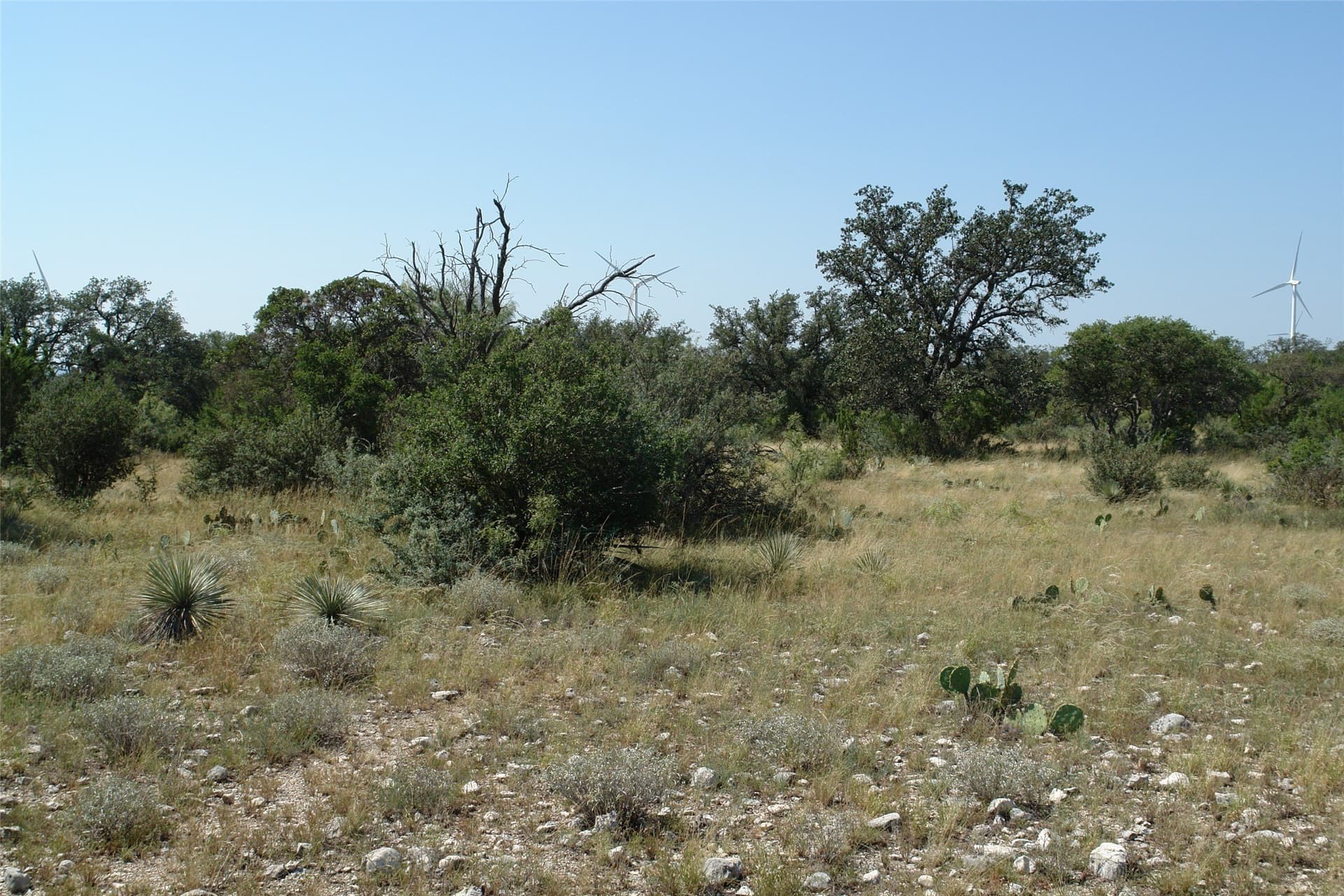 110 acres in McCulloch County - photo 26