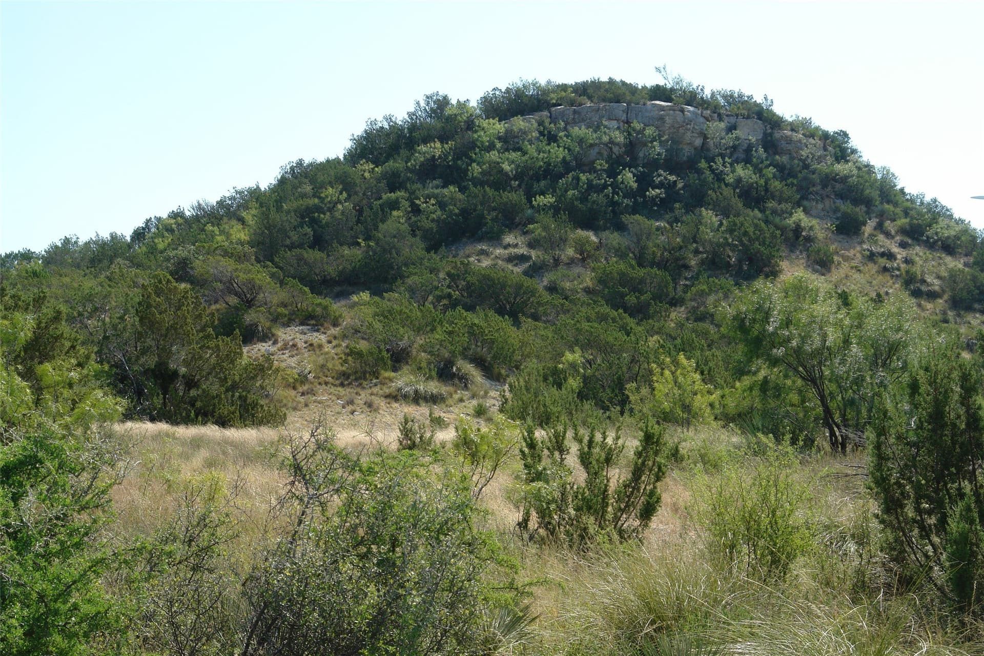 110 acres in McCulloch County - photo 12