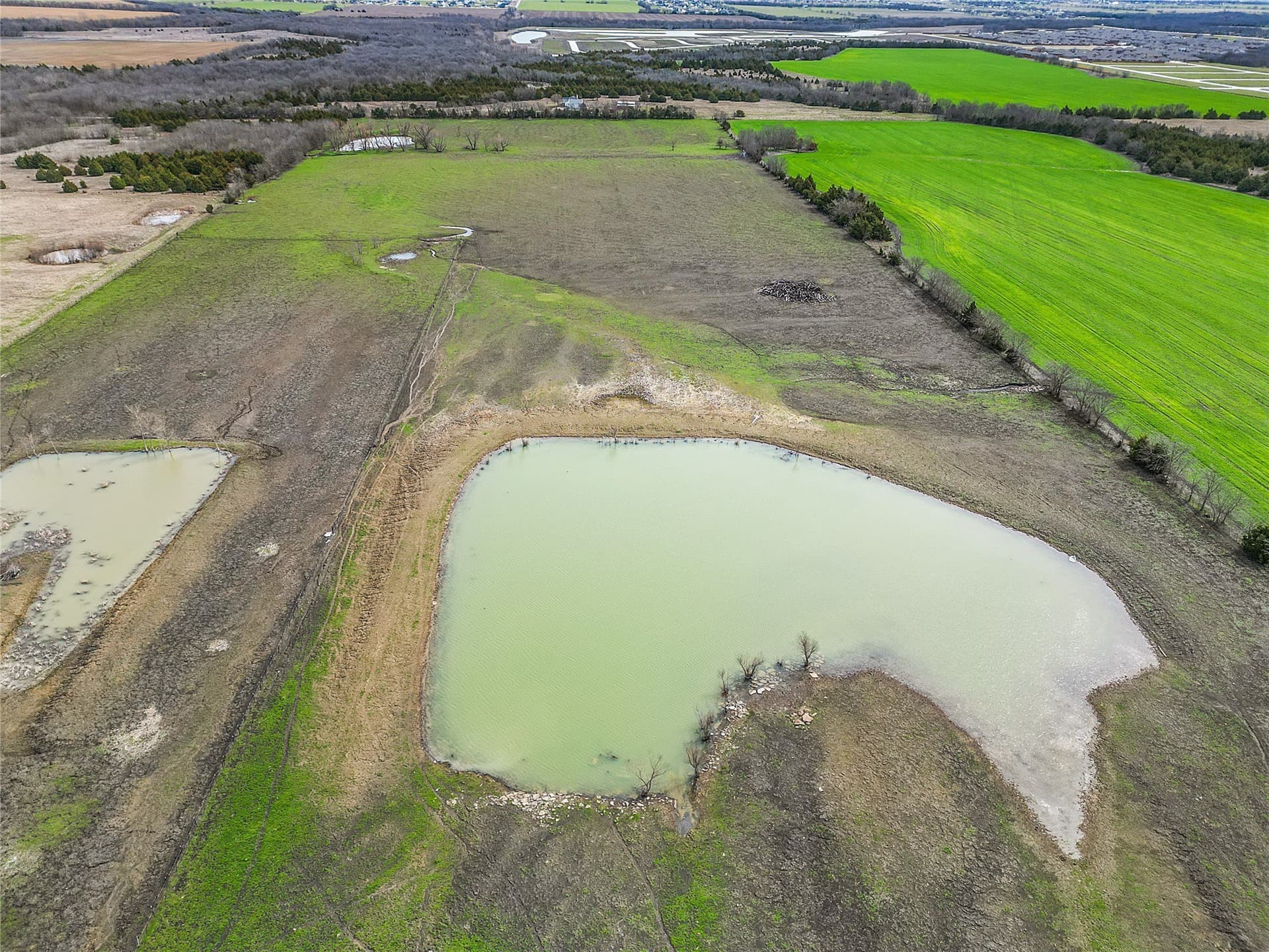 36.8 acres in Collin County gallery image 3