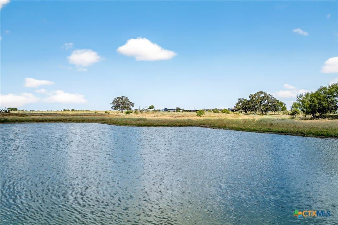 82.49 acres in Gonzales County gallery image 4