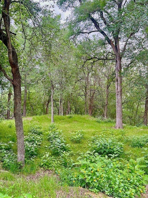 0.22 acres in Fayette County featured view