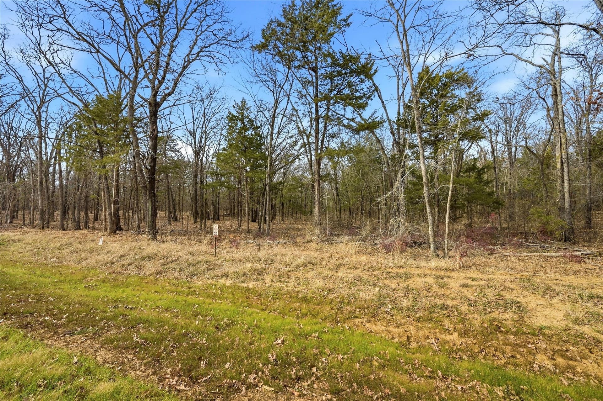1.1 acres in Grayson County - photo 4