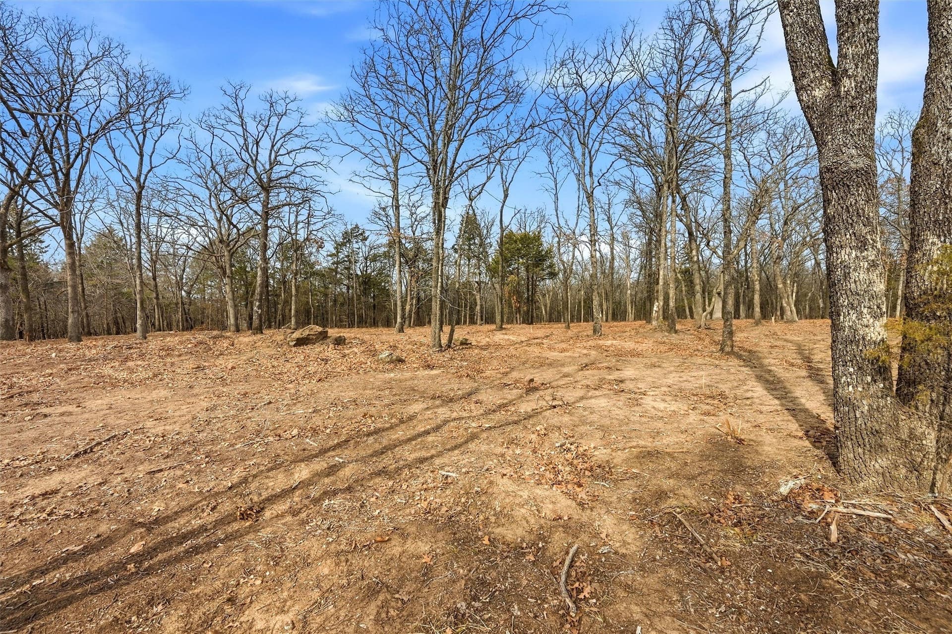 1.1 acres in Grayson County - photo 10